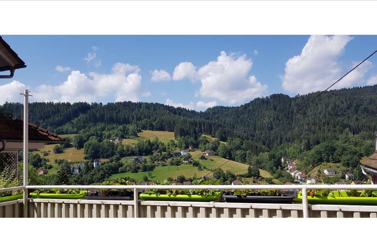 Talstadtblick Apartment Schramberg Exterior photo