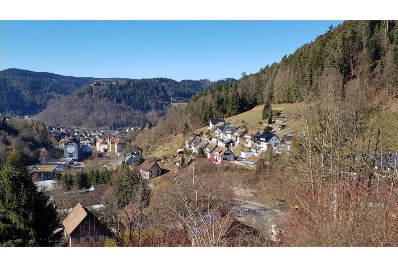 Talstadtblick Apartment Schramberg Exterior photo